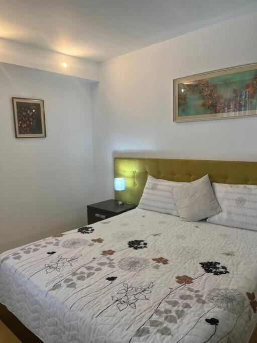 Apartament Theta- Langa Centru, Cada Hidromasaj Sučava Exteriér fotografie