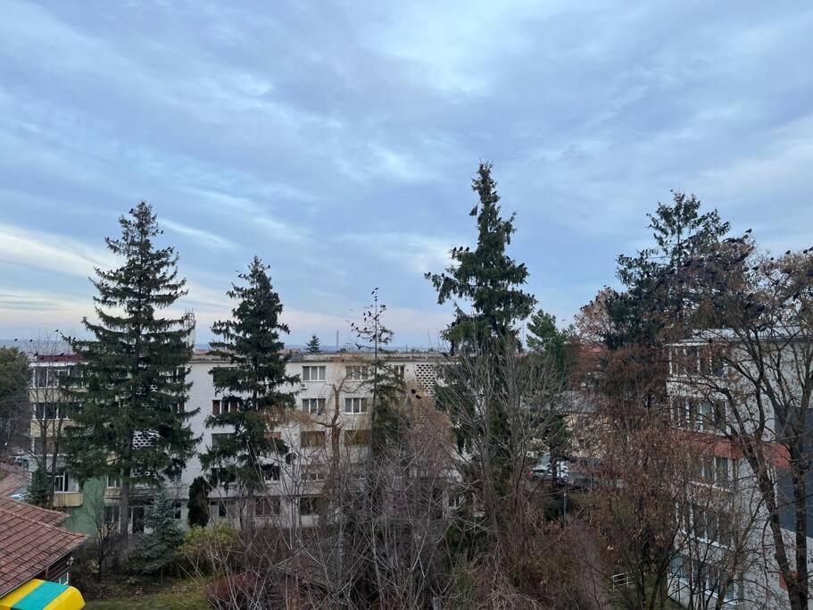 Apartament Theta- Langa Centru, Cada Hidromasaj Sučava Exteriér fotografie
